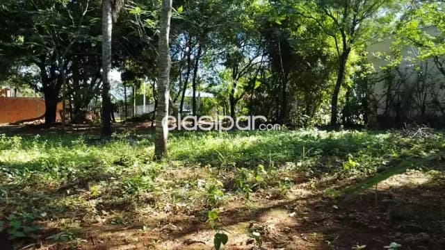 Terreno marambure Luque 2.126m2-89x26 — foto 3