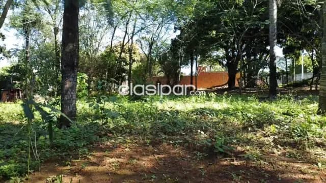 Terreno marambure Luque 2.126m2-89x26 — foto 4