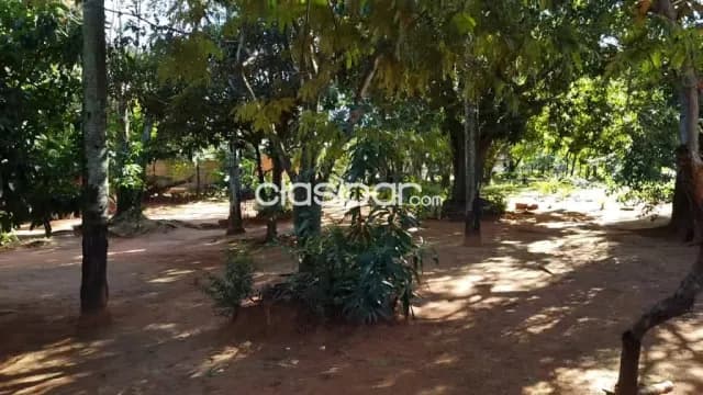Terreno marambure Luque 2.126m2-89x26 — foto 5