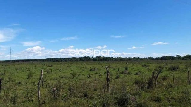 Terreno Rural en Coronel Bogado - 26 Ha — foto 1