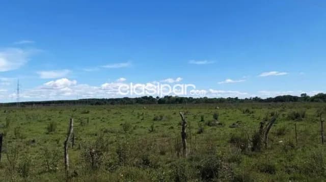 Terreno Rural en Coronel Bogado - 26 Ha — foto 2