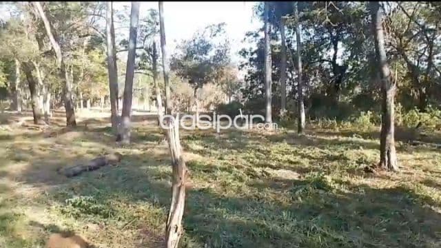 Inmejorable terreno en ciervo cua, sanber...!!!