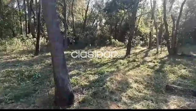 Inmejorable terreno en ciervo cua, sanber...!!! — foto 3