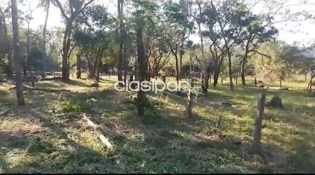 Inmejorable terreno en ciervo cua, sanber...!!! — foto 4