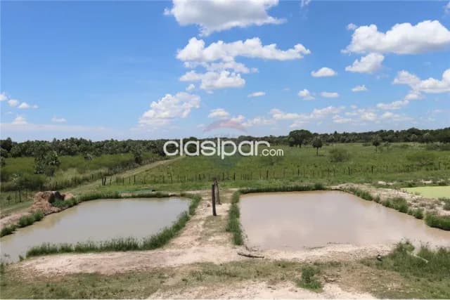 En venta propiedad rural de 12 Hectáreas en Benjamín Aceval, foto 3