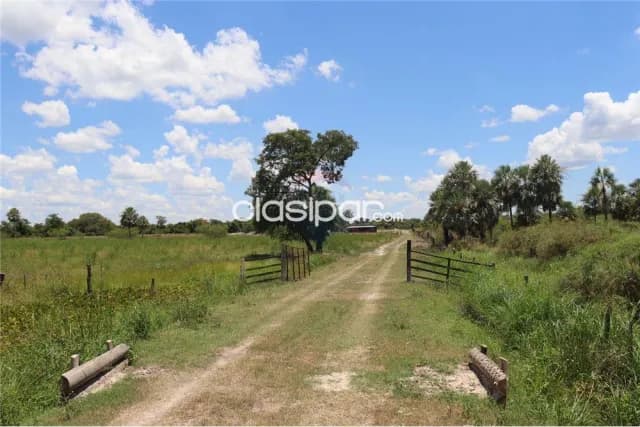 En venta propiedad rural de 12 Hectáreas en Benjamín Aceval, foto 4
