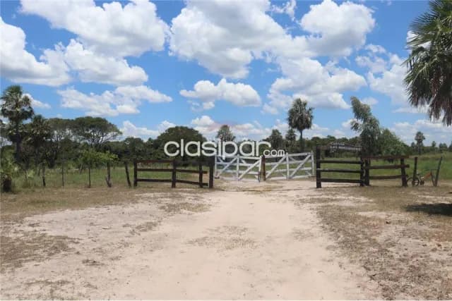 En venta propiedad rural de 12 Hectáreas en Benjamín Aceval, foto 5