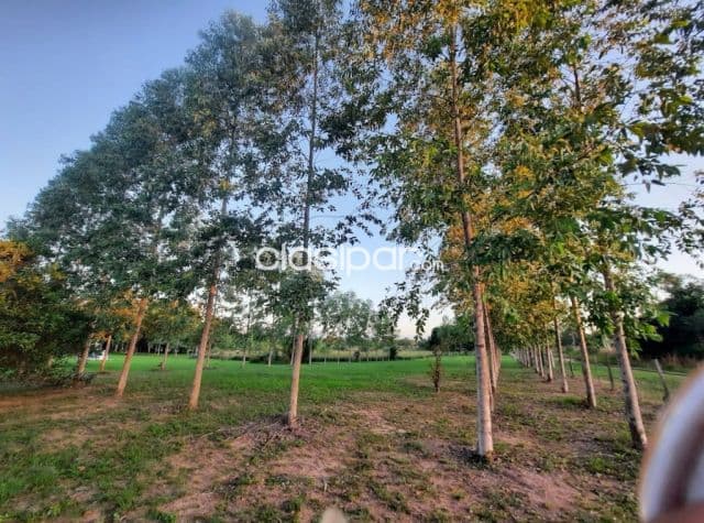 Terreno Rural en Loma Grande - 4 Ha