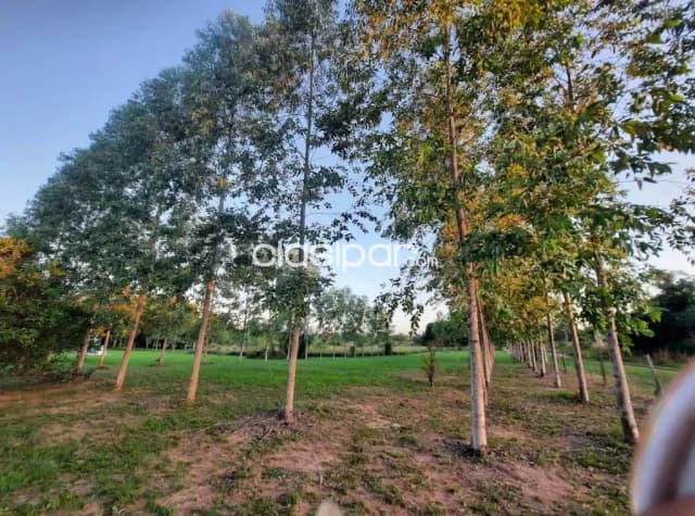 Terreno Rural en Loma Grande - 4 Ha — foto 2