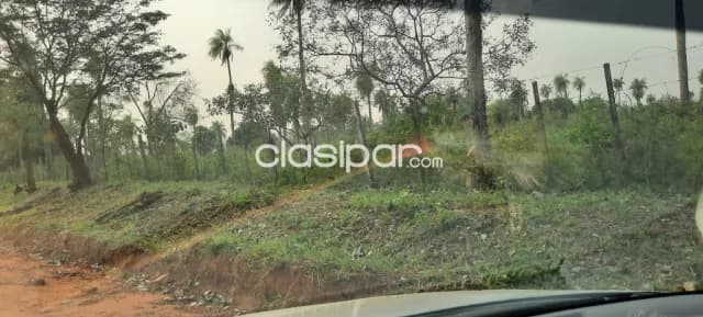 Oferta de 8 ha.en Nueva Colombia,a 100 mt.de la ruta asfaltada — foto 5