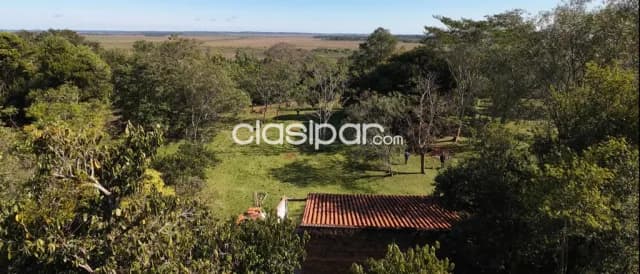 Terreno Rural en Coronel Oviedo - 9 Ha, foto 3