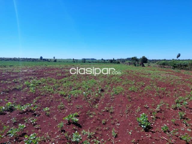 Terreno Rural Mecanizado en Minga Guazú - 29 Ha