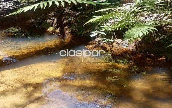 Terreno Rural en General Caballero - 7 Ha — foto 3