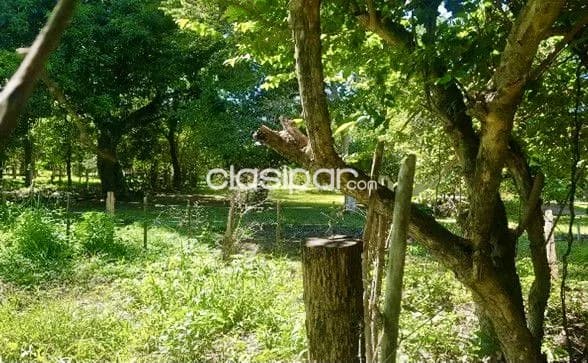 Terreno Rural en General Caballero - 7 Ha — foto 4