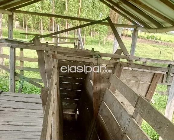 Granja en General Aquino - 32 Ha — foto 3