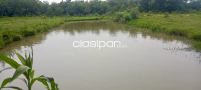Granja en General Aquino - 32 Ha — foto 4