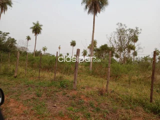 Hermosa propiedad de 3,5 has yaguaron compañía ita potrero ideal para loteamiento — foto 2