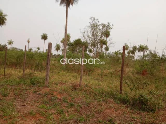 Hermosa propiedad de 3,5 has yaguaron compañía ita potrero ideal para loteamiento — foto 3