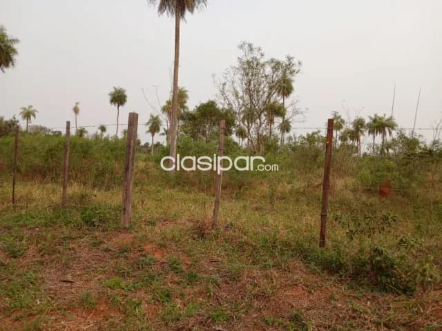 Hermosa propiedad de 3,5 has yaguaron compañía ita potrero ideal para loteamiento — foto 4