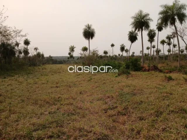 Hermosa propiedad de 3,5 has yaguaron compañía ita potrero ideal para loteamiento — foto 5