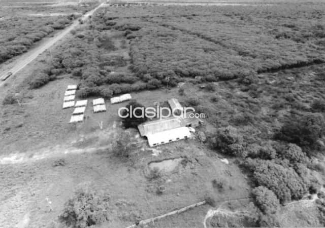 Estancia 74.6 has sobre la transchaco, km 253, foto 4