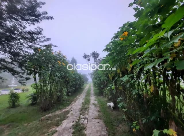 14 hectareas en loma grande cod 4517 — foto 2