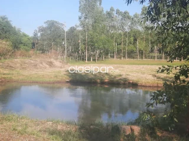14 hectareas en loma grande cod 4517 — foto 3