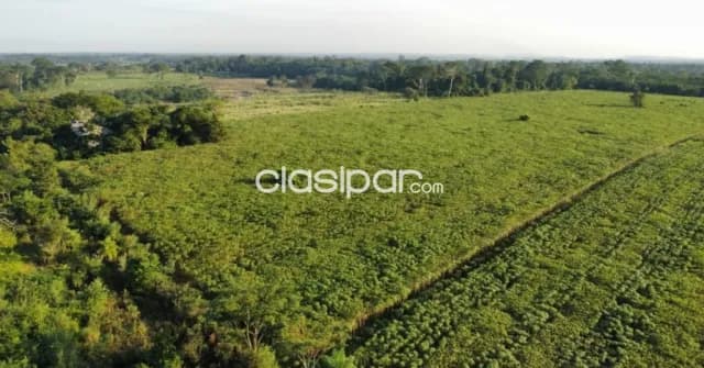 Campo Agrícola/Ganadero en Santani - 760 Ha — foto 3