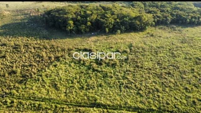 Campo Agrícola/Ganadero en Santani - 760 Ha — foto 4