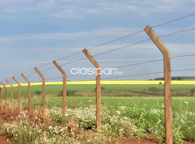 Terreno Agrícola Mecanizado en Hernandarias - 20 Ha, foto 2