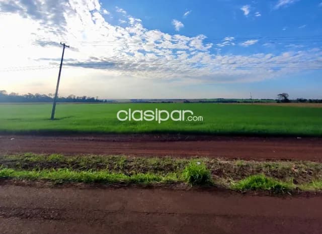 Terreno Agrícola Mecanizado en Hernandarias - 20 Ha, foto 4