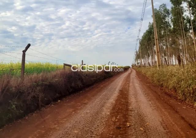 Terreno Agrícola Mecanizado en Hernandarias - 20 Ha, foto 5