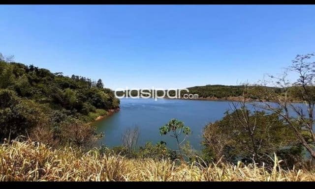 Terreno Rural en Natalio costas al Río Paraná - 4 Ha