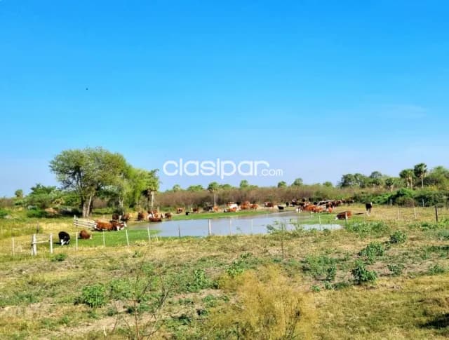 Estancia de 3.750 has a tranquera cerrada a 300 km de asuncion — foto 3