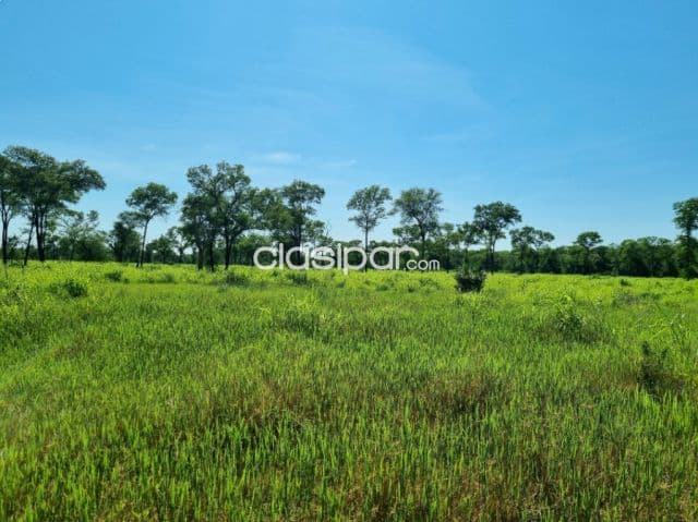 Estancia de 3.750 has a tranquera cerrada a 300 km de asuncion — foto 1
