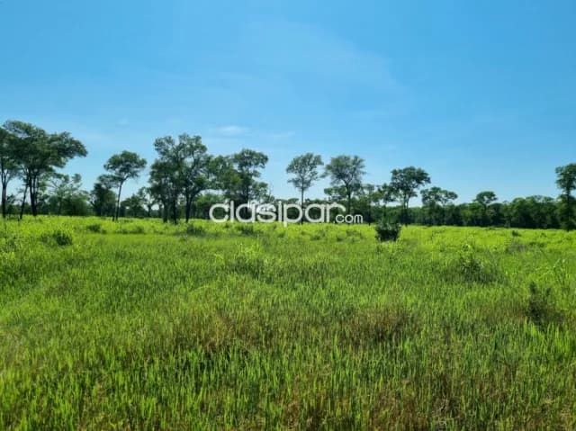 Estancia de 3.750 has a tranquera cerrada a 300 km de asuncion — foto 2