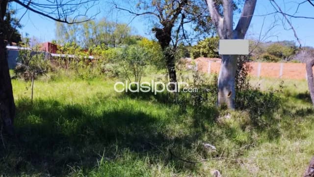 Terreno en Luque barrio mora cue cod 4598 — foto 5