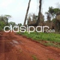 Terreno, foto 1