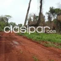 Terreno, foto 2