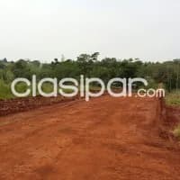 Terreno, foto 3