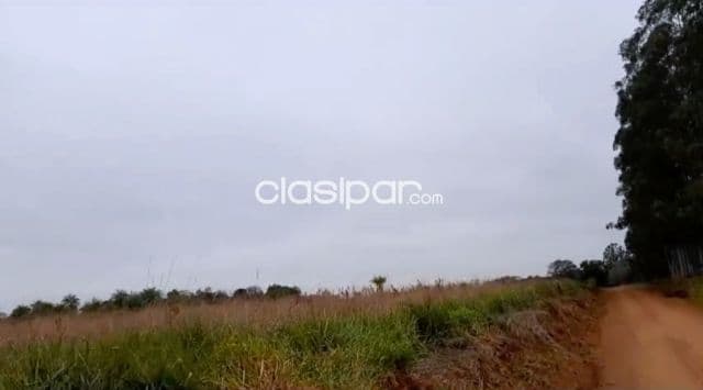 Campo