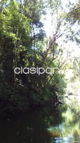 Campo — foto 3