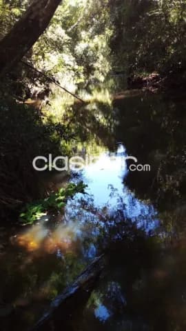 Campo — foto 4