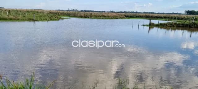 Campo Agrícola/Ganadero en Mbuyapey - 430 Ha, foto 4