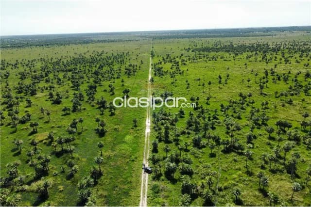 Espectacular campo benamin aceval-r 09 km 49, foto 2