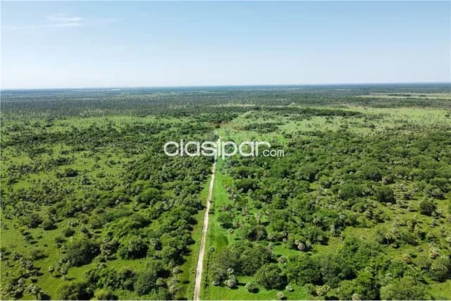 Espectacular campo benamin aceval-r 09 km 49, foto 4