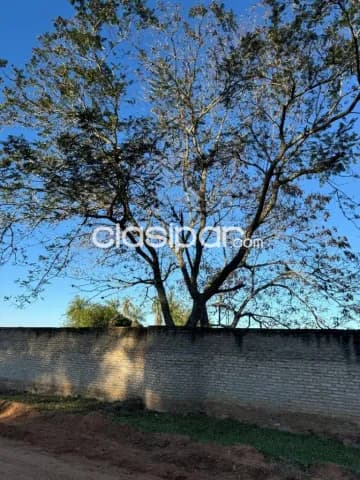 En venta terreno en Luque isla zarate id 27122 — foto 5