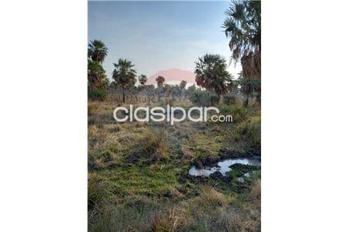 Campo en villa oliva — foto 1
