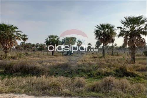 Campo en villa oliva — foto 3