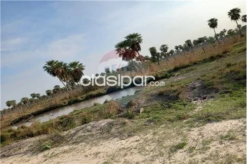 Campo en villa oliva — foto 4